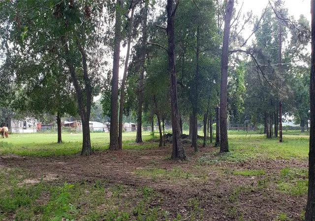 Photo 3 of Land for sale at 5620 Sapp Rd, Conroe, TX 77304 | MLS# 34765325 | Listing updated on 2024-08-18