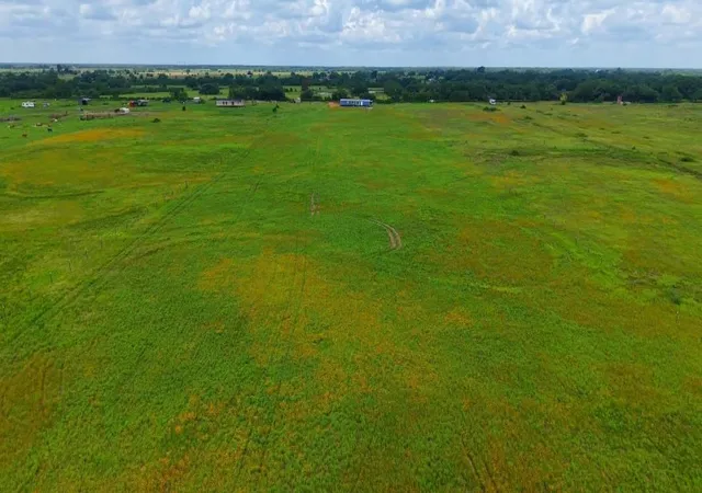 Photo 3 of Land for sale at 1087 Cr 141, Rock Island, TX 77470 | MLS# 75860617 | Listing updated on 2026-09-15
