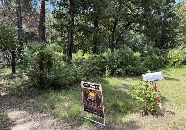 Photo 10 of Land for sale at 41502 S Buckhorn Ln, Magnolia, TX 77354 | MLS# 65877572 | Listing updated on 2026-08-31