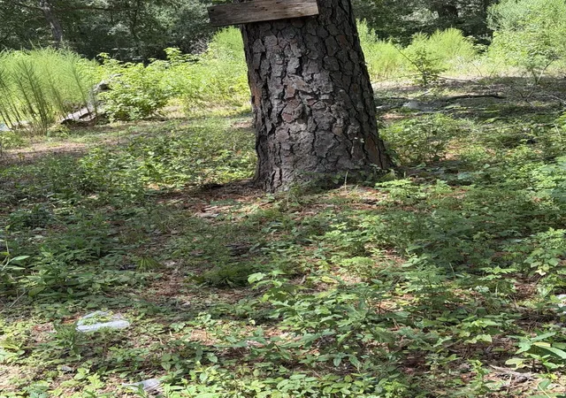Photo 1 of Land for sale at 41502 S Buckhorn Ln, Magnolia, TX 77354 | MLS# 65877572 | Listing updated on 2026-08-31