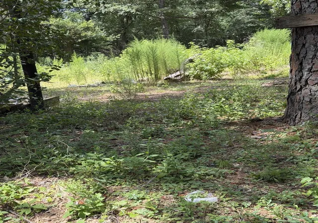 Photo 2 of Land for sale at 41502 S Buckhorn Ln, Magnolia, TX 77354 | MLS# 65877572 | Listing updated on 2026-08-31