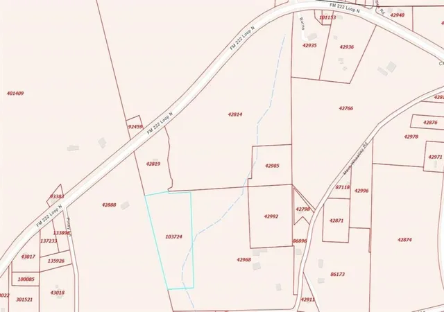 Photo 2 of Land for sale at 00 Fm 222, Coldspring, TX 77331 | MLS# 36888760 | Listing updated on 2026-06-14