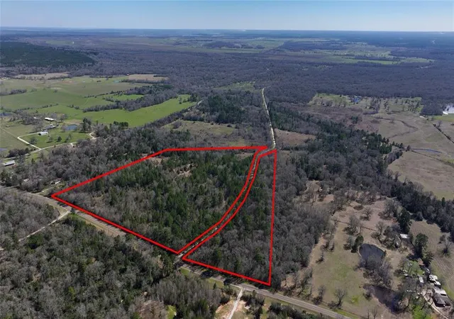 Photo 1 of Land for sale at 0000 Palmetto Rd, Trinity, TX 75862 | MLS# 83023490 | Listing updated on 2025-12-19
