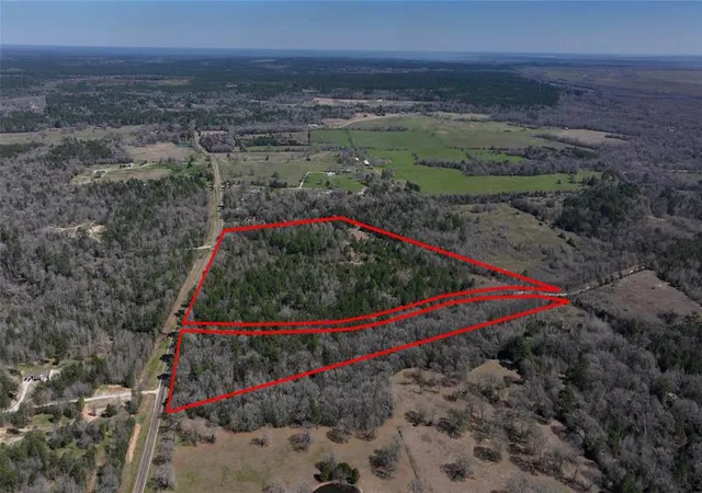 Photo 2 of Land for sale at 0000 Palmetto Rd, Trinity, TX 75862 | MLS# 83023490 | Listing updated on 2025-12-19