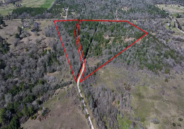 Photo 3 of Land for sale at 0000 Palmetto Rd, Trinity, TX 75862 | MLS# 83023490 | Listing updated on 2025-12-19