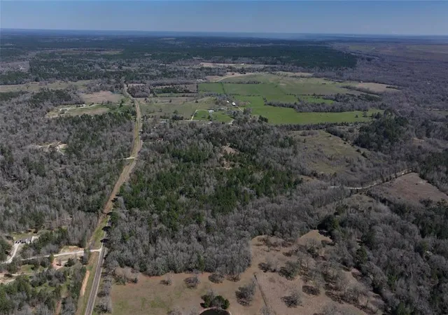 Photo 9 of Land for sale at 0000 Palmetto Rd, Trinity, TX 75862 | MLS# 83023490 | Listing updated on 2025-12-19