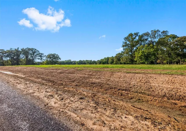 1st image of 6033 Alans Memorial Ln, New Waverly, TX 77358 | MLS# 27942286