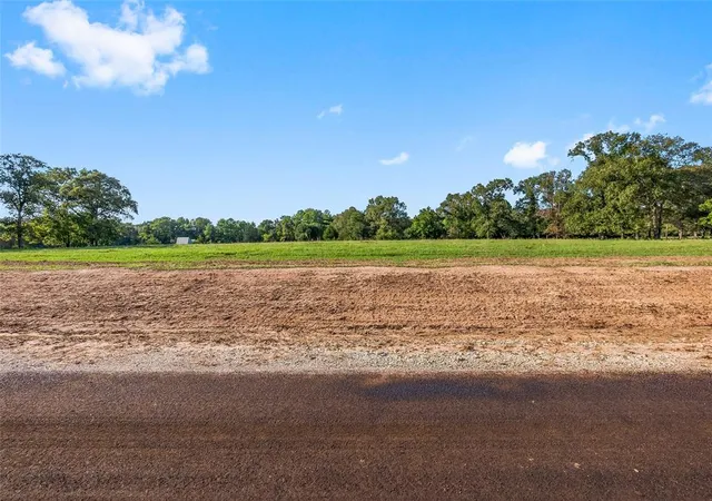 2nd image of 6033 Alans Memorial Ln, New Waverly, TX 77358 | MLS# 27942286
