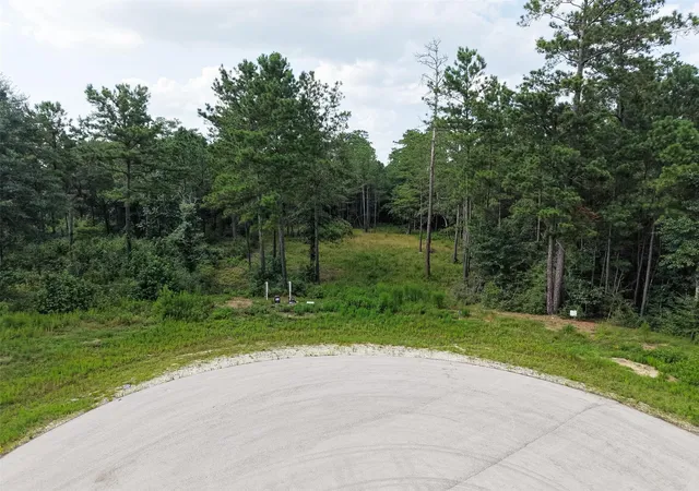 2nd image of 159 Gypsum Rd, New Waverly, TX 77378 | MLS# 58368332