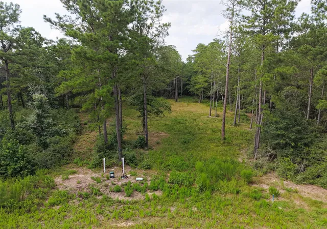 3rd image of 159 Gypsum Rd, New Waverly, TX 77378 | MLS# 58368332