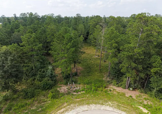 4th image of 159 Gypsum Rd, New Waverly, TX 77378 | MLS# 58368332
