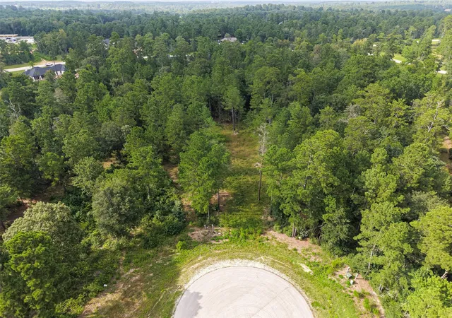 5th image of 159 Gypsum Rd, New Waverly, TX 77378 | MLS# 58368332
