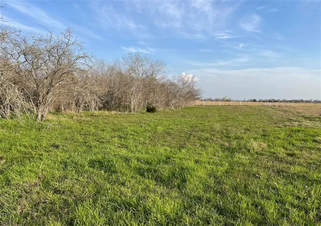 Photo 4 of Land for sale at 4196 Peters San Felipe Road, Sealy, TX 77474 | MLS# 87224231 | Listing updated on 2026-06-09