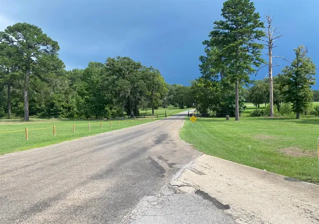 Homes for sale in Trinity, TX | Lot 4 Briarfiled Way, Trinity, TX 75862 | MLS# 61352575