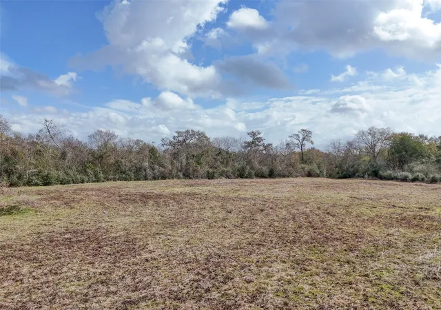 Homes for sale in Hempstead, TX | 0 Wilkins St, Hempstead, TX 77445 | MLS# 60373297