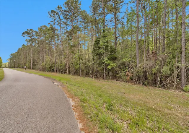 Photo 7 of Land for sale at Tbd  Tr1 Cedar Ln Loop, Willis, TX 77378 | MLS# 11989326 | Listing updated on 2026-06-18