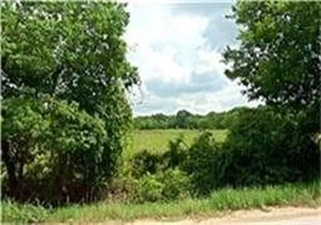 1st image of 4147 Fuqua St, Houston, TX 77048 | MLS# 69501129