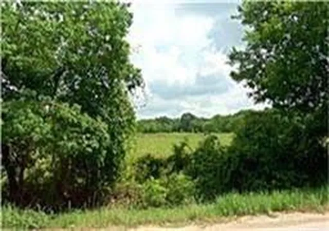 2nd image of 4147 Fuqua St, Houston, TX 77048 | MLS# 69501129