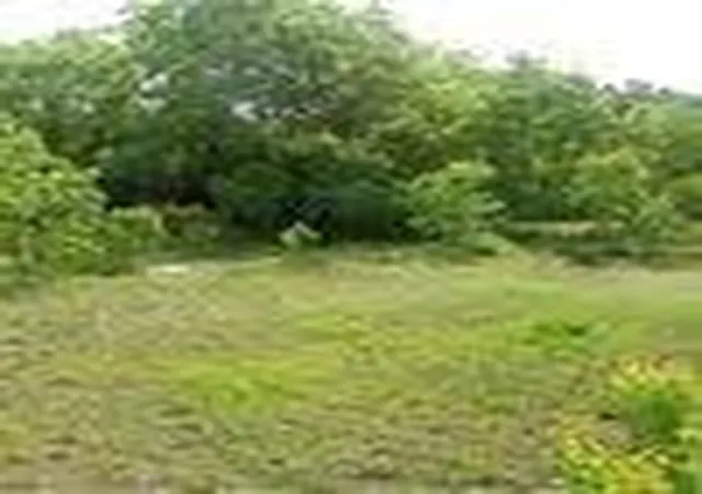 5th image of 4147 Fuqua St, Houston, TX 77048 | MLS# 69501129