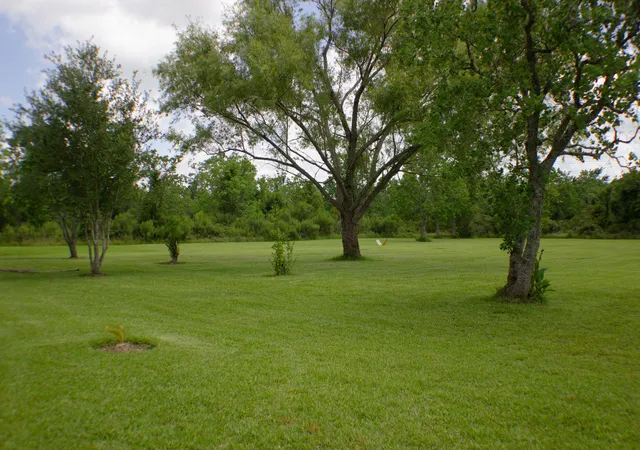 Photo 1 of Single family home for sale at 2603 Virginia Ave, League City, TX 77573 | MLS# 51024565 | Listing updated on 2026-02-09