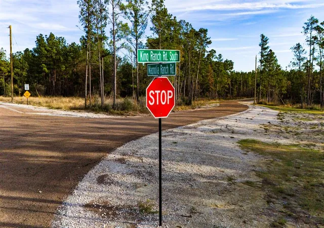 5th image of 033 King Ranch Road South Road, Onalaska, TX 77360 | MLS# 46901702