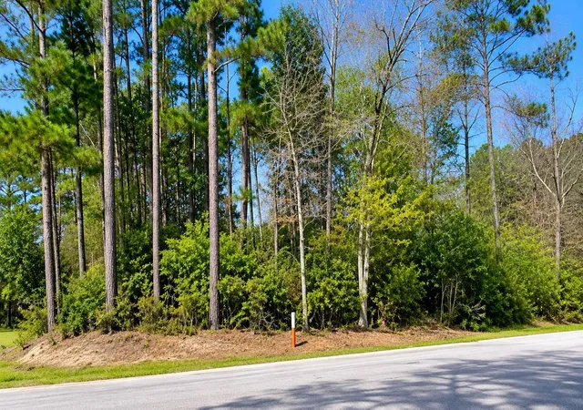 1st image of Tbd Water Oak / Cedar Point, Livingston, TX 77351 | MLS# 66086079
