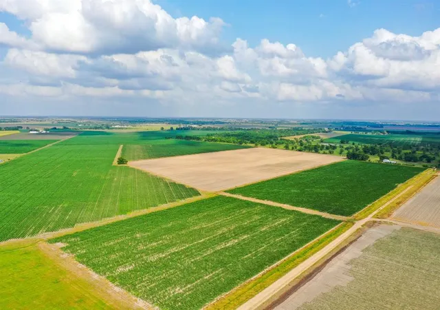 2nd image of 0000 Koym Rd, Beasley, TX 77417 | MLS# 72886633