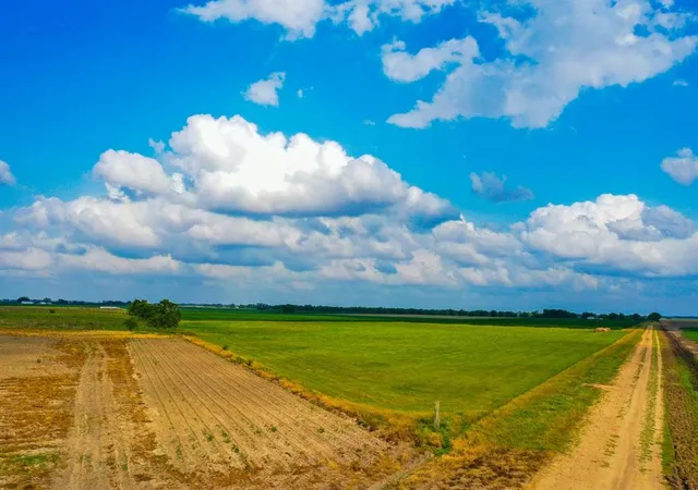 Photo 3 of Land for sale at 0000 Koym Rd, Beasley, TX 77417 | MLS# 72886633 | Listing updated on 2026-07-23