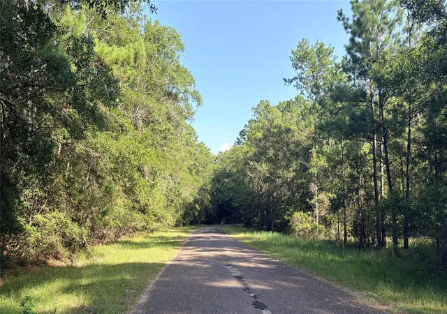 Photo 2 of Land for sale at Lot 11 Hackberry Dr, Village Mills, TX 77663 | MLS# 35626359 | Listing updated on 2026-08-25