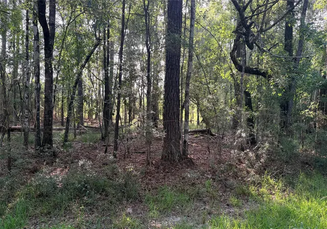 Photo 3 of Land for sale at Lot 11 Hackberry Dr, Village Mills, TX 77663 | MLS# 35626359 | Listing updated on 2026-08-25
