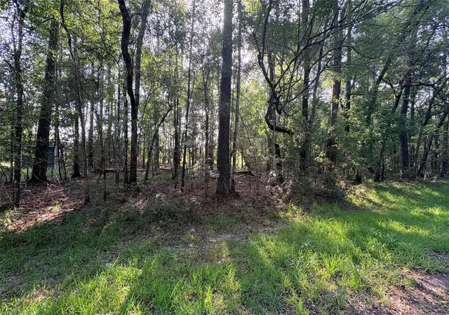 Photo 3 of Land for sale at Lot 11 Hackberry Dr, Village Mills, TX 77663 | MLS# 35626359 | Listing updated on 2026-08-25