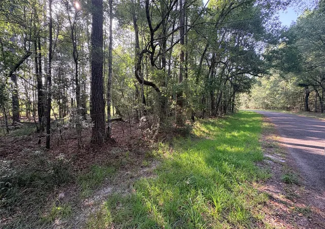 Photo 4 of Land for sale at Lot 11 Hackberry Dr, Village Mills, TX 77663 | MLS# 35626359 | Listing updated on 2026-08-25