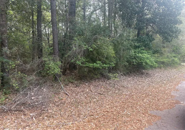 Homes for sale in Village Mills, TX | Lot 8 Chestnut Cir, Village Mills, TX 77663 | MLS# 97255602