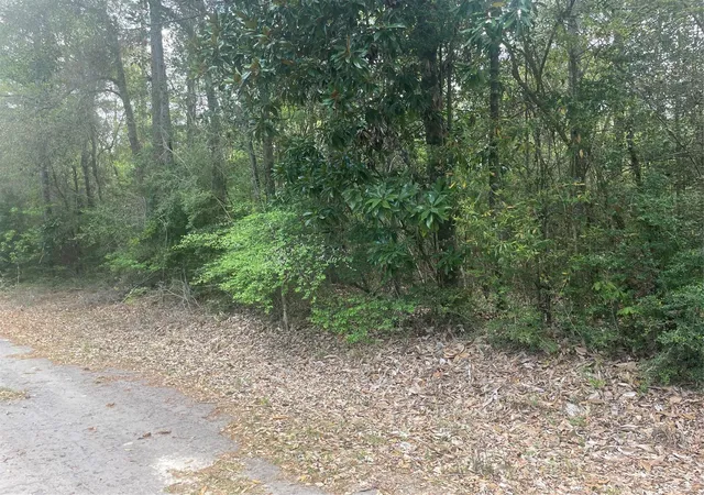 Homes for sale in Village Mills, TX | Lot 8 Chestnut Cir, Village Mills, TX 77663 | MLS# 97255602