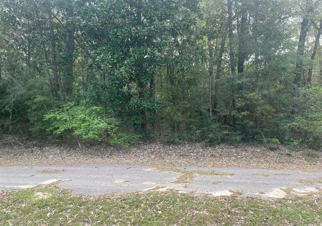 Homes for sale in Village Mills, TX | Lot 8 Chestnut Cir, Village Mills, TX 77663 | MLS# 97255602