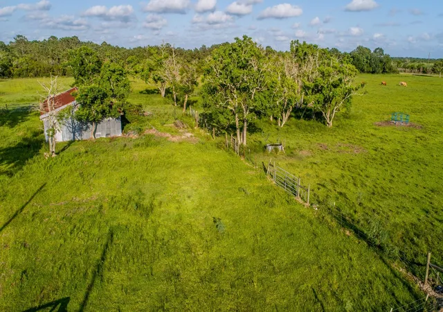 Homes for sale in Anahuac, TX | Tbd Eagle Road, Anahuac, TX 77514 | MLS# 14125772
