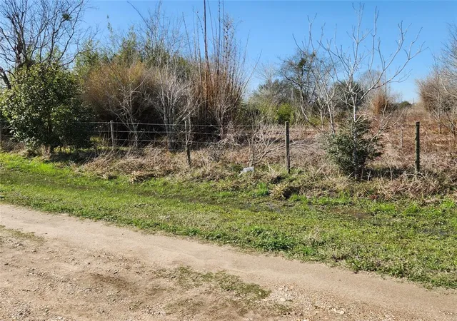 5th image of 9810 E Creek Bend Dr, Needville, TX 77461 | MLS# 68111322