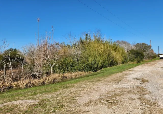8th image of 9810 E Creek Bend Dr, Needville, TX 77461 | MLS# 68111322