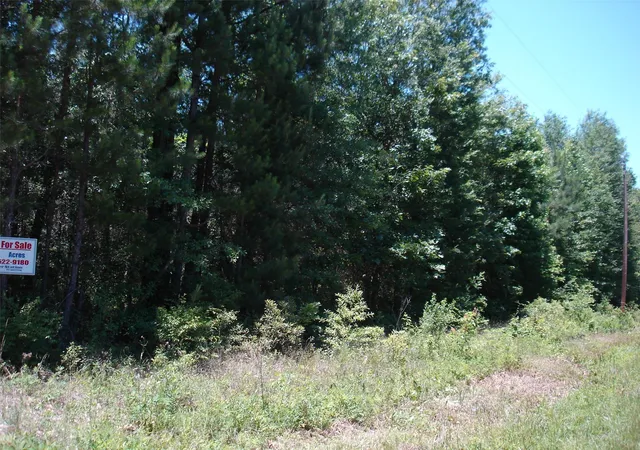 2nd image of 0001 Pelican Rd, Shepherd, TX 77371 | MLS# 47320134