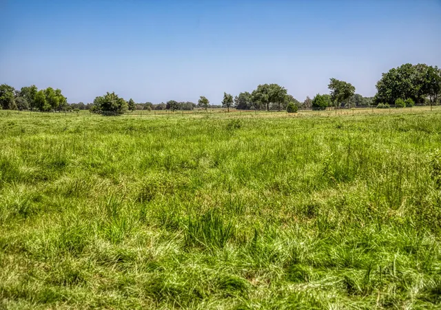 2nd image of 1922 County Road 324, Caldwell, TX 77836 | MLS# 61229466