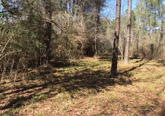 1st image of 0000 Buffalo Ln, Silsbee, TX 77656 | MLS# 27082900