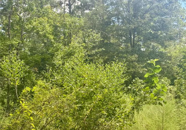 2nd image of 0000 Buffalo Ln, Silsbee, TX 77656 | MLS# 27082900