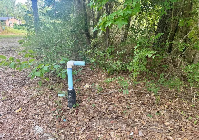 3rd image of 0000 Buffalo Ln, Silsbee, TX 77656 | MLS# 27082900