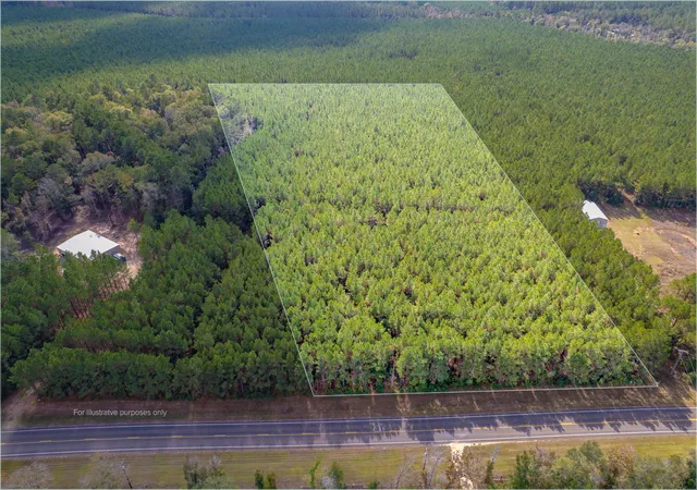 Photo 1 of Land for sale at Lot 6 Fm 943, Livingston, TX 77351 | MLS# 6838028 | Listing updated on 2026-03-23