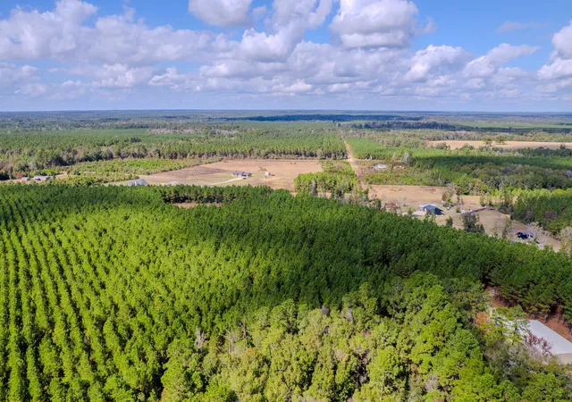 Photo 2 of Land for sale at Lot 6 Fm 943, Livingston, TX 77351 | MLS# 6838028 | Listing updated on 2026-03-23