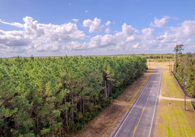 Photo 3 of Land for sale at Lot 6 Fm 943, Livingston, TX 77351 | MLS# 6838028 | Listing updated on 2026-03-23