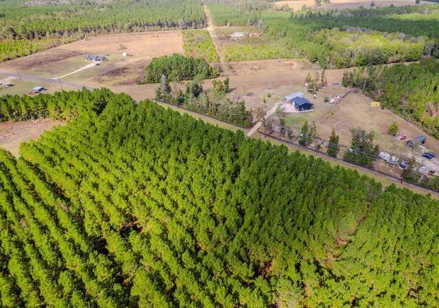 Photo 3 of Land for sale at Lot 6 Fm 943, Livingston, TX 77351 | MLS# 6838028 | Listing updated on 2026-03-23