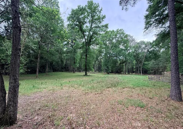 Photo 4 of Land for sale at 225 Pelican St, Magnolia, TX 77355 | MLS# 95535202 | Listing updated on 2026-04-03