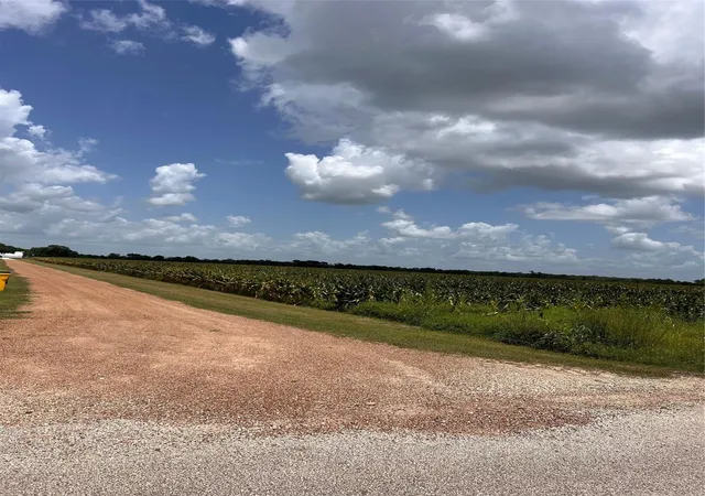 Homes for sale in Wallis, TX | Lot 1 Tract 2 Svoboda Rd, Wallis, TX 77485 | MLS# 27886381