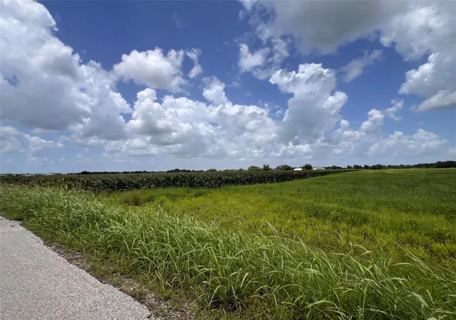 Homes for sale in Wallis, TX | Lot 1 Tract 2 Svoboda Rd, Wallis, TX 77485 | MLS# 27886381
